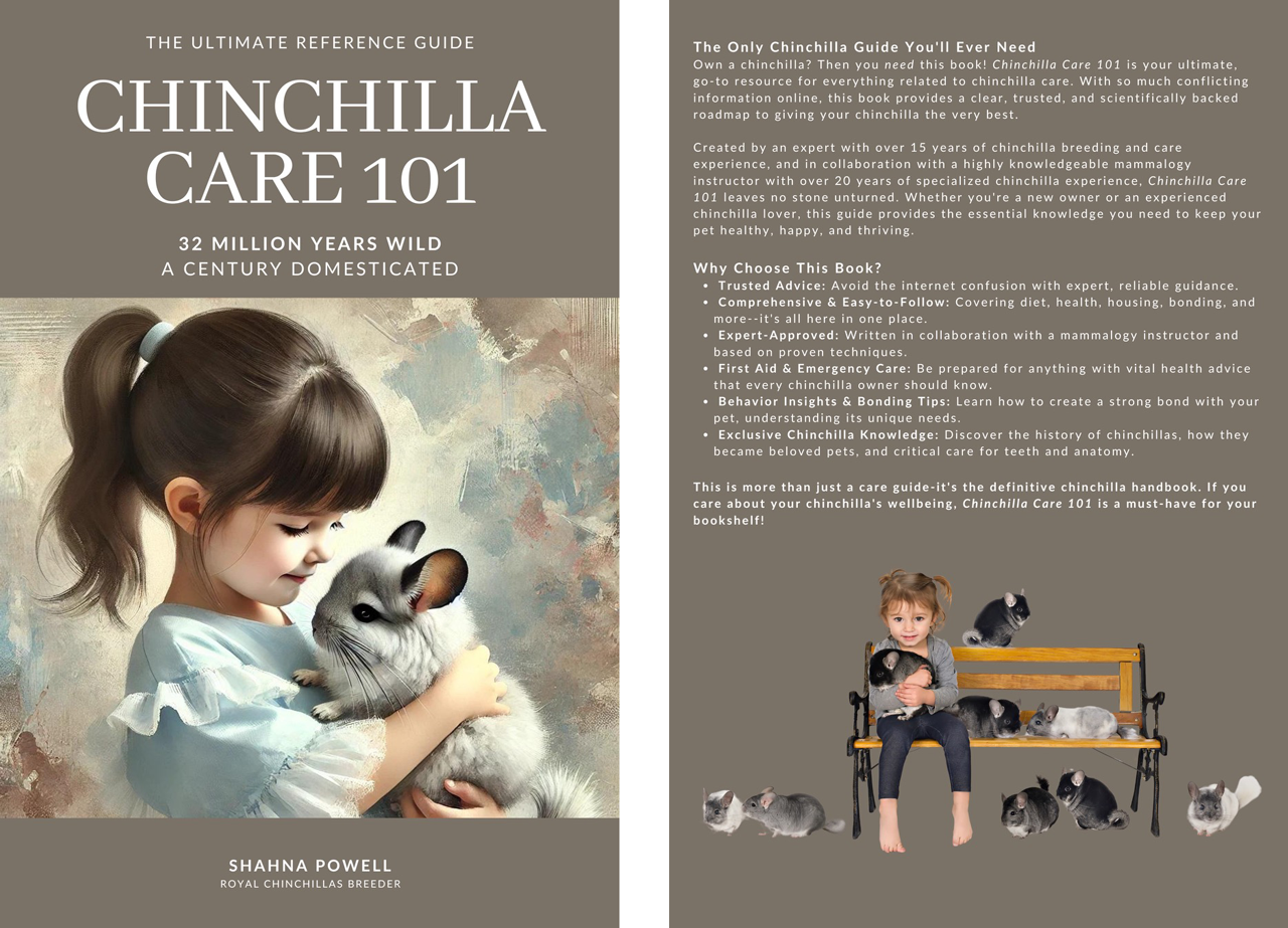 Chinchilla Care 101 cover